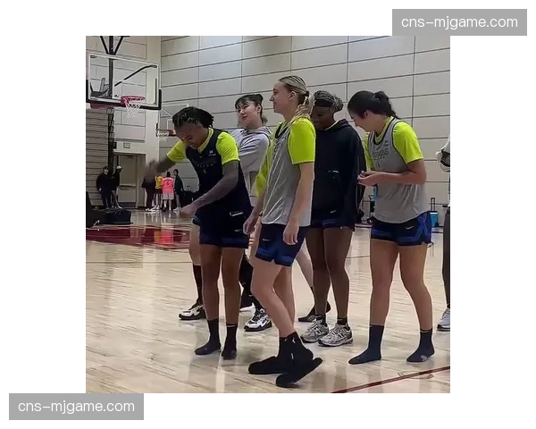 前WNBA球员涉嫌欺诈案开庭，被控挪用青少年篮球基金会资金